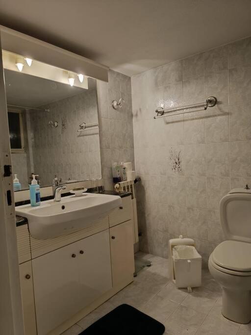 το σπίτι της μυρσίνης Apartament Wolos